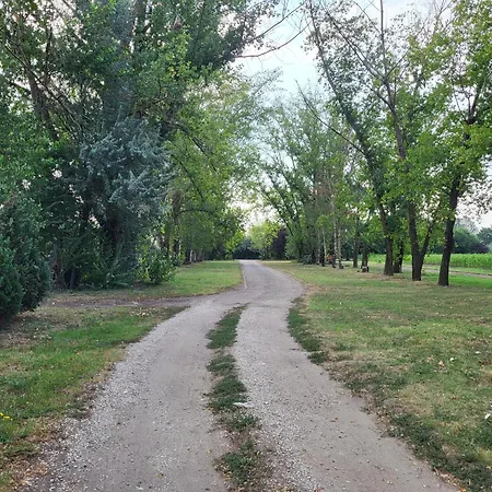 Guest house Nyarfas Vendeghaz Szeged