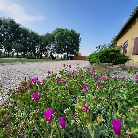 Nyarfas Vendeghaz Guest house Szeged